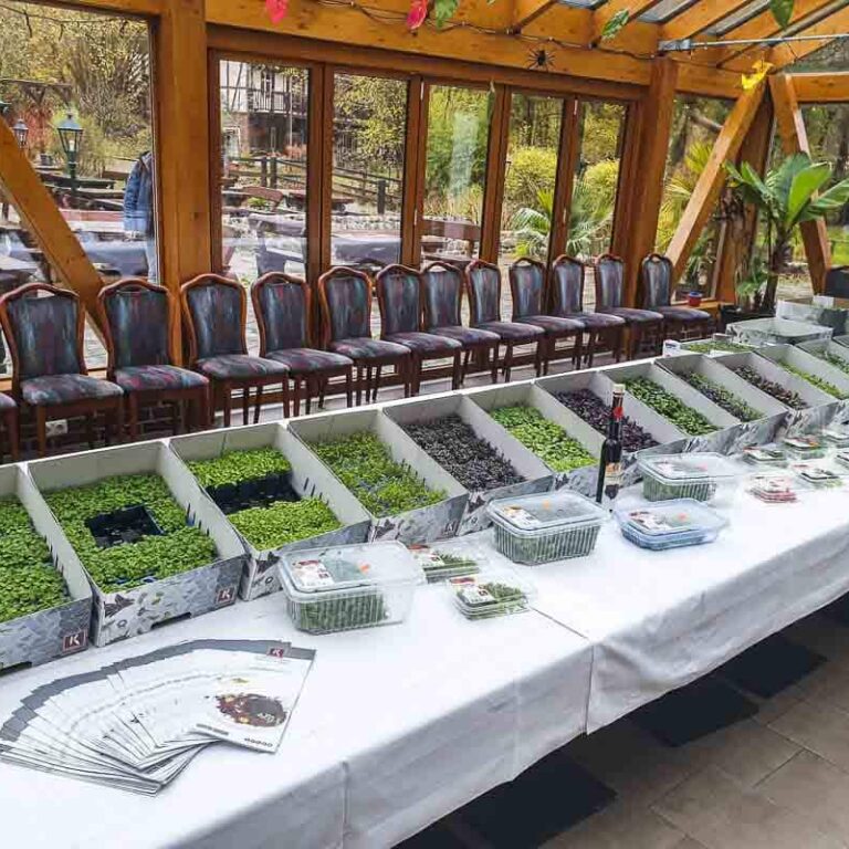 Koppert Cress Workshop 1 Koppert Cress Workshop
