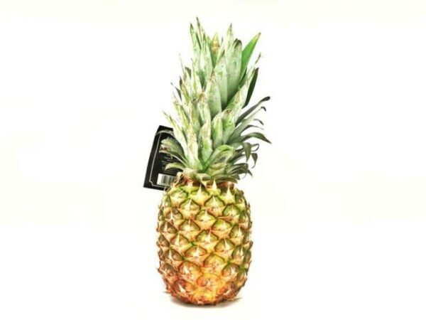 Premium Ananas Extra Sweet  5 Stück Karton  Costa Rica