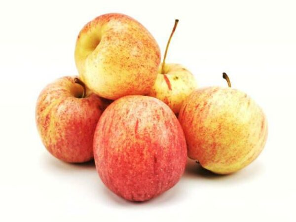 Apfel Gala Royal / Neue-Ernte 13 kg Kolli lose  Italien