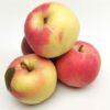 ART_apf143_1 Apfel Royal Gala 7 kg Karton gelegt Italien