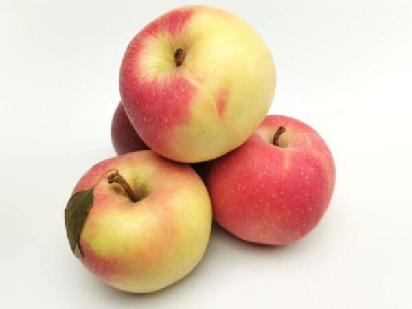 Apfel Royal Gala  7 kg Karton gelegt  Italien