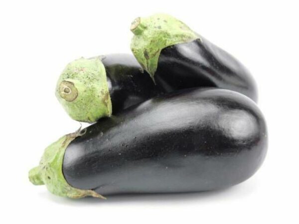 Aubergine  5 kg Kolli lose  Niederlande