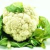 Blumenkohl weiß  6 Stück Kolli  Polen