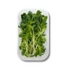 Sonnenblumen Microgreens 100 g Schale  Deutschland