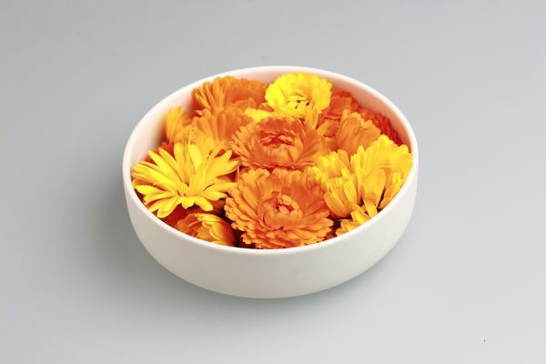Ringelblumen Blüten  8 x 10 Stück Schale  Deutschland