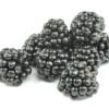 Brombeere  12 x 125 g Schale  Niederlande