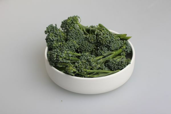 Wilder Broccoli Keltenhof  4 x 300 g Beutel  Spanien