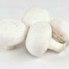 Champignon weiss medium  3 kg Kolli lose  Polen