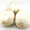ART_cha020_1 Riesenchampignon weiss 2 kg Kiste lose Polen