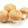 ART_cha044_1 Champignons rosé 3 kg Kolli lose Polen