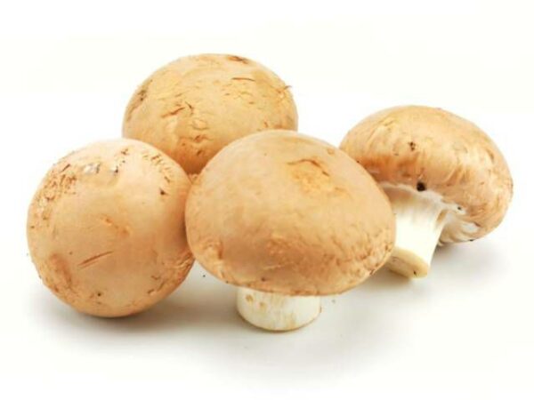 Champignons rosé  3 kg Kolli lose  Polen