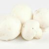 ART_cha051_1 Champignon weiss mini 3 kg Kiste lose Polen