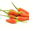 Chili rot Rawit  12 x 100 g Schale  Südafrika
