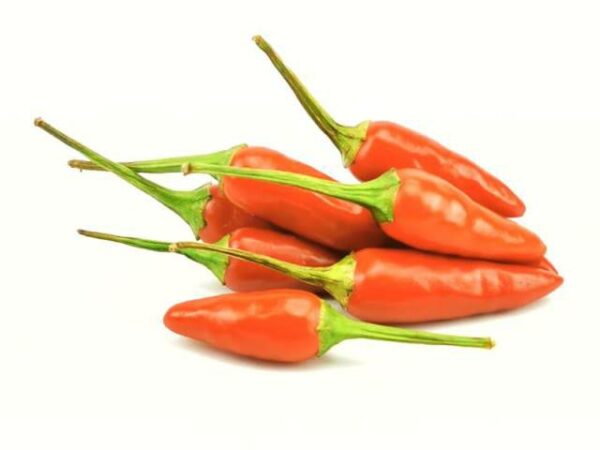 Chili rot Rawit  12 x 100 g Schale  Südafrika