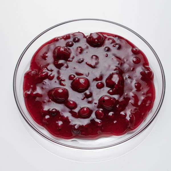 Rote Grütze  5 kg Eimer  Deutschland