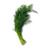 Dill  100 g Gastro Bundware  Deutschland