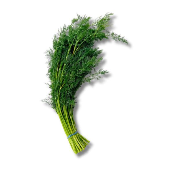 Dill  100 g Gastro Bundware  Deutschland
