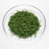Dill geschnitten  200 g Schale  Deutschland