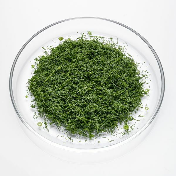 Dill geschnitten  200 g Schale  Deutschland