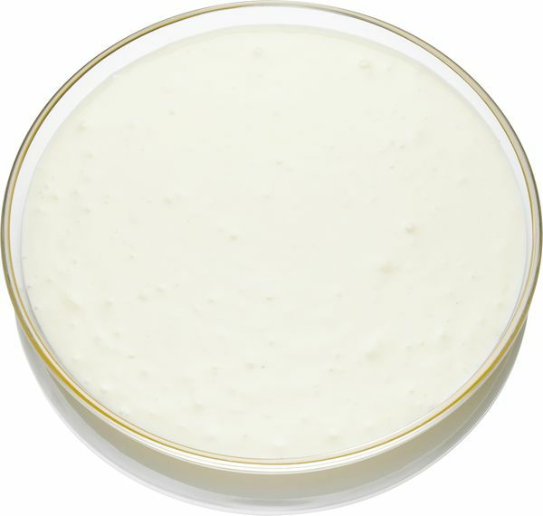 Sylter Dressing laktosefrei  5 Liter Eimer  Deutschland