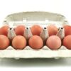 ART_eie612_1 Eier Bodenhaltung weiß Größe M 18 x 10 Stück Karton Deutschland