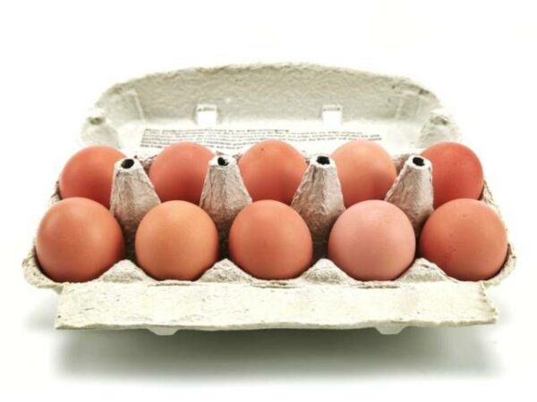 Eier Bodenhaltung weiß Größe M  18 x 10 Stück Karton  Deutschland
