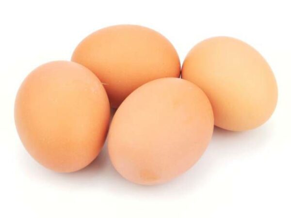 Eier Bodenhaltung braun Größe M  90 Stück Karton  Deutschland