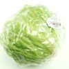 ART_eis011_1 Eisbergsalat 10 Stück Kolli Deutschland