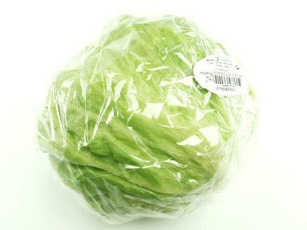 Eisbergsalat  10 Stück Kolli  Deutschland