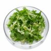 Endiviensalat geschnitten 6 mm  1 kg Beutel  Deutschland