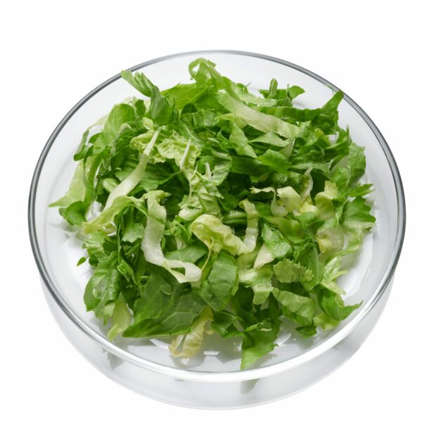 Endiviensalat geschnitten 6 mm  1 kg Beutel  Deutschland