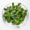 Feldsalat gewaschen handgezupft  500 g Beutel  Deutschland
