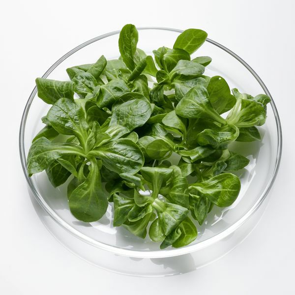 Feldsalat gewaschen handgezupft  500 g Beutel  Deutschland