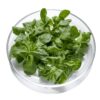 ART_fel705_1 Feldsalat *verzehrfertig* Facchini 8 x 125 gr. Italien