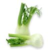 ART_fen025_1 Fenchel 5 kg Kolli lose Deutschland