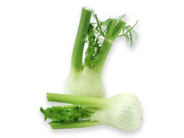 Fenchel  5 kg Kolli lose  Deutschland