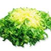 Frisée Salat  8 Stück Kolli  Italien