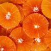 Grapefruit Scheiben roséfleischig  1 Liter Eimer  Deutschland