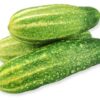 Schmorgurke  6 kg Kolli lose  Deutschland