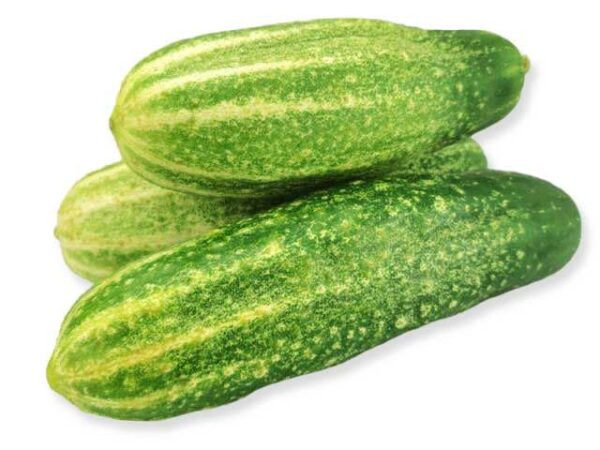 Schmorgurke  6 kg Kolli lose  Deutschland