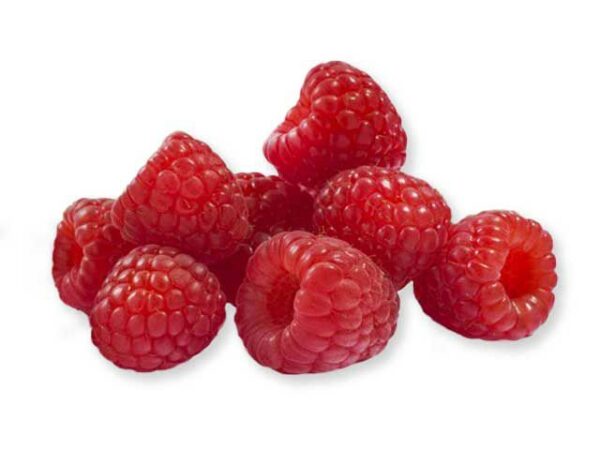 Himbeere rot  8 x 250 g Schale  Polen
