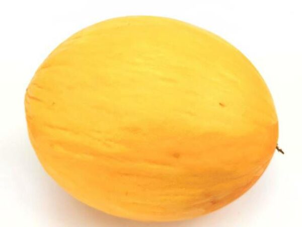 Honigmelone gelb  8 Stück Karton  Spanien