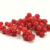 Johannisbeere rot  12 x 125 g Schale  Niederlande