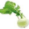 ART_koh010_1 Kohlrabi 20 Stück Kolli Deutschland