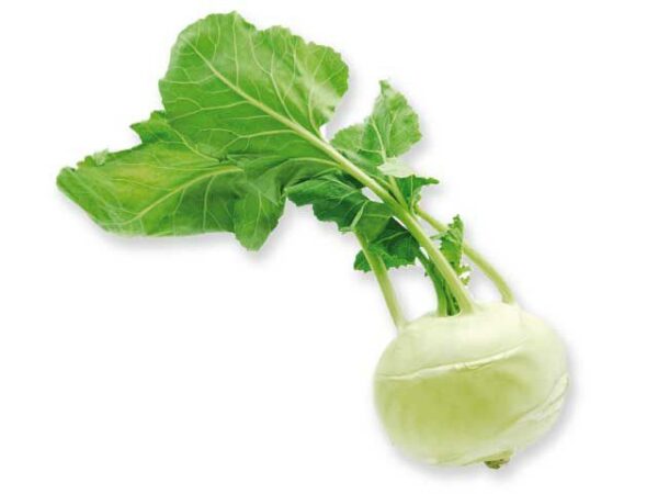 Kohlrabi  20 Stück Kolli  Deutschland