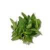 Basilikum *Basil*   1 kg Karton lose  Kenia