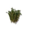 Thymian *Thyme*   1 kg Karton lose  Deutschland
