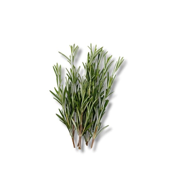 Rosmarin *Rosemary*  1 kg Karton lose  Kenia