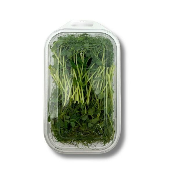 Erbsen Microgreens  100g Schale  Deutschland