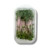 Radieschen Microgreens - China Rosé  100 g Schale  Deutschland